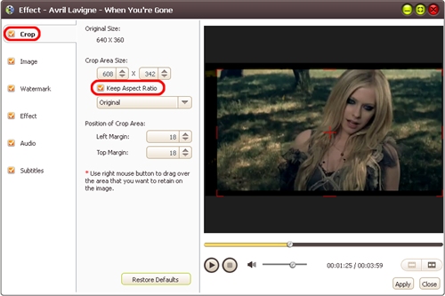 AVI MPEG WMV video converting